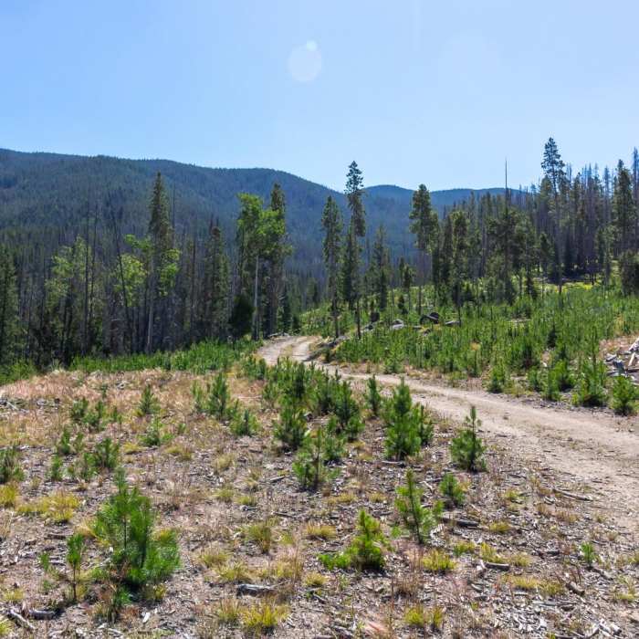 Near Haystack Mountain