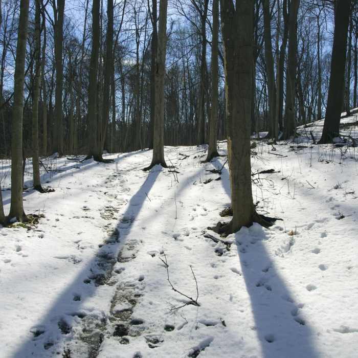 Near Bendix Woods County Park Bike Trail