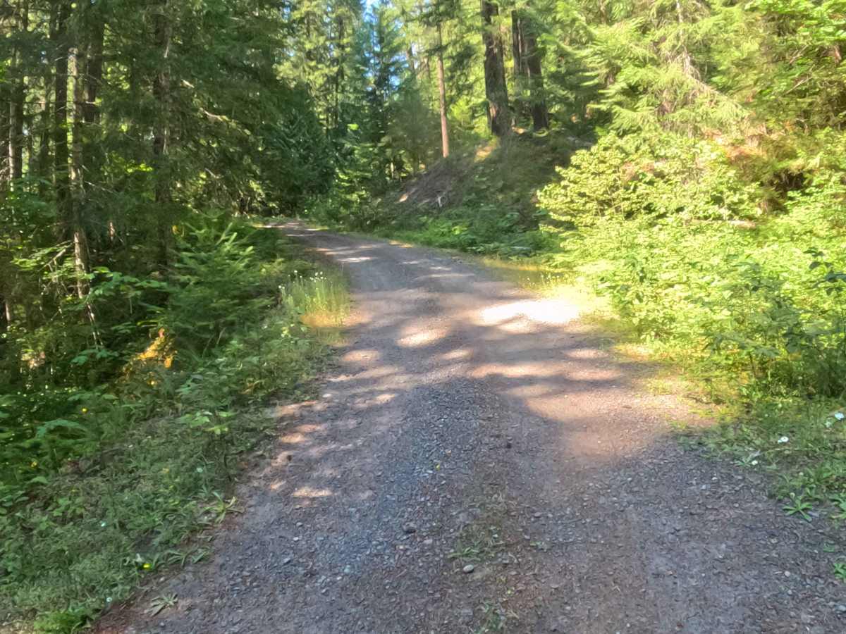 Minto Mountain Road - FS 2253125 photo 4