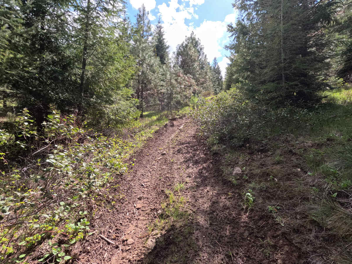 Trail G1 photo 6