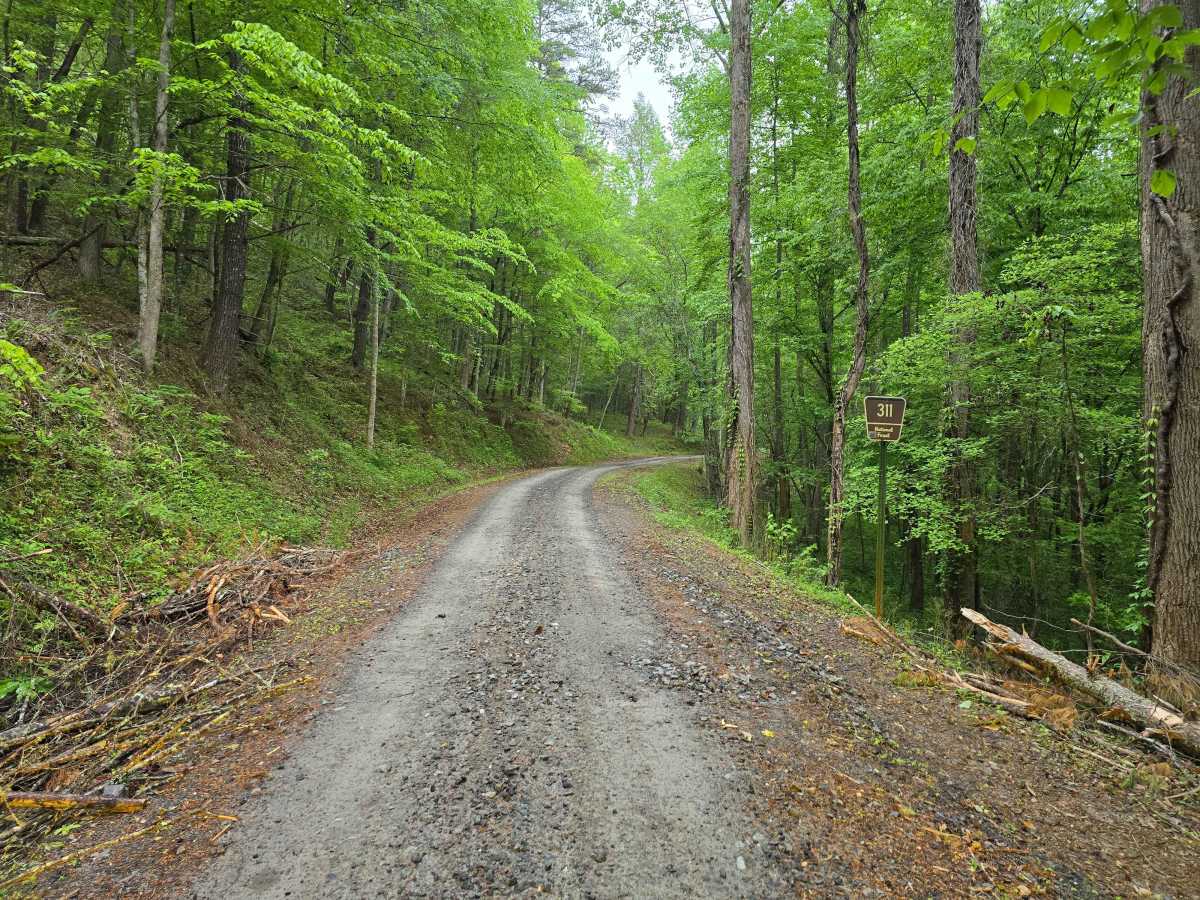 Old Highway Road - FS 311 photo 2