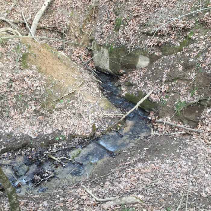 Near Sinking Waters Trail