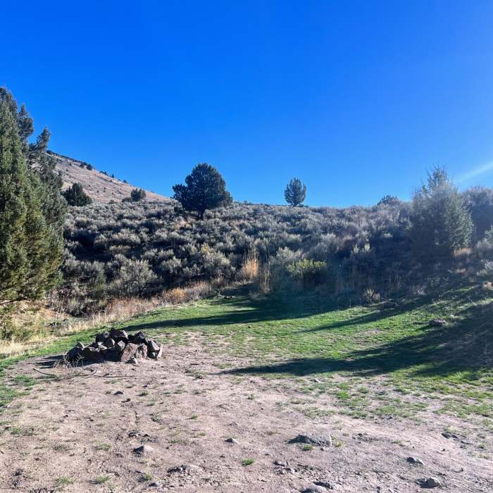 Near Fenwick Ranch Road to Three Forks Recreation Site Near Fenwick Ranch Road to Three Forks Recreation Site