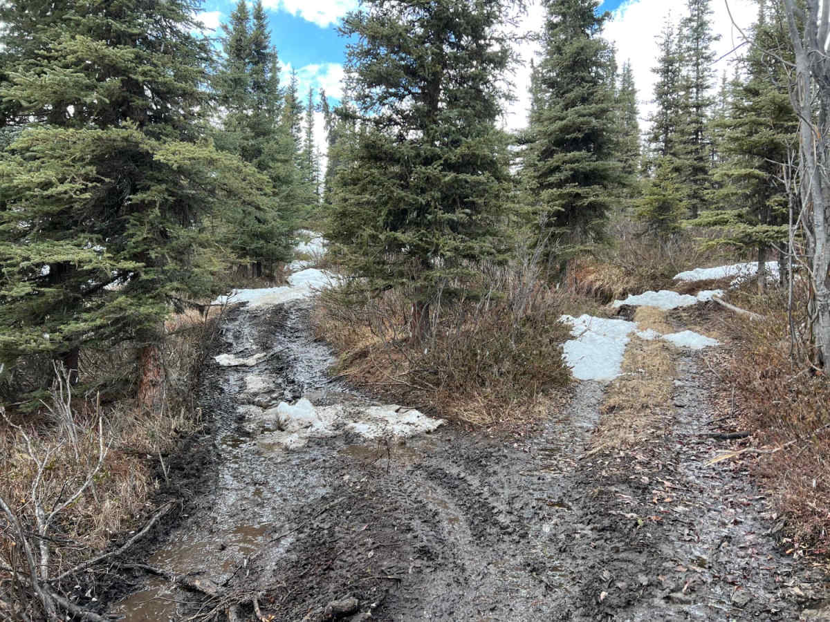 Dan Creek photo 3