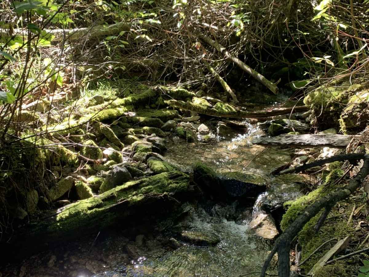 Gash Creek photo 4