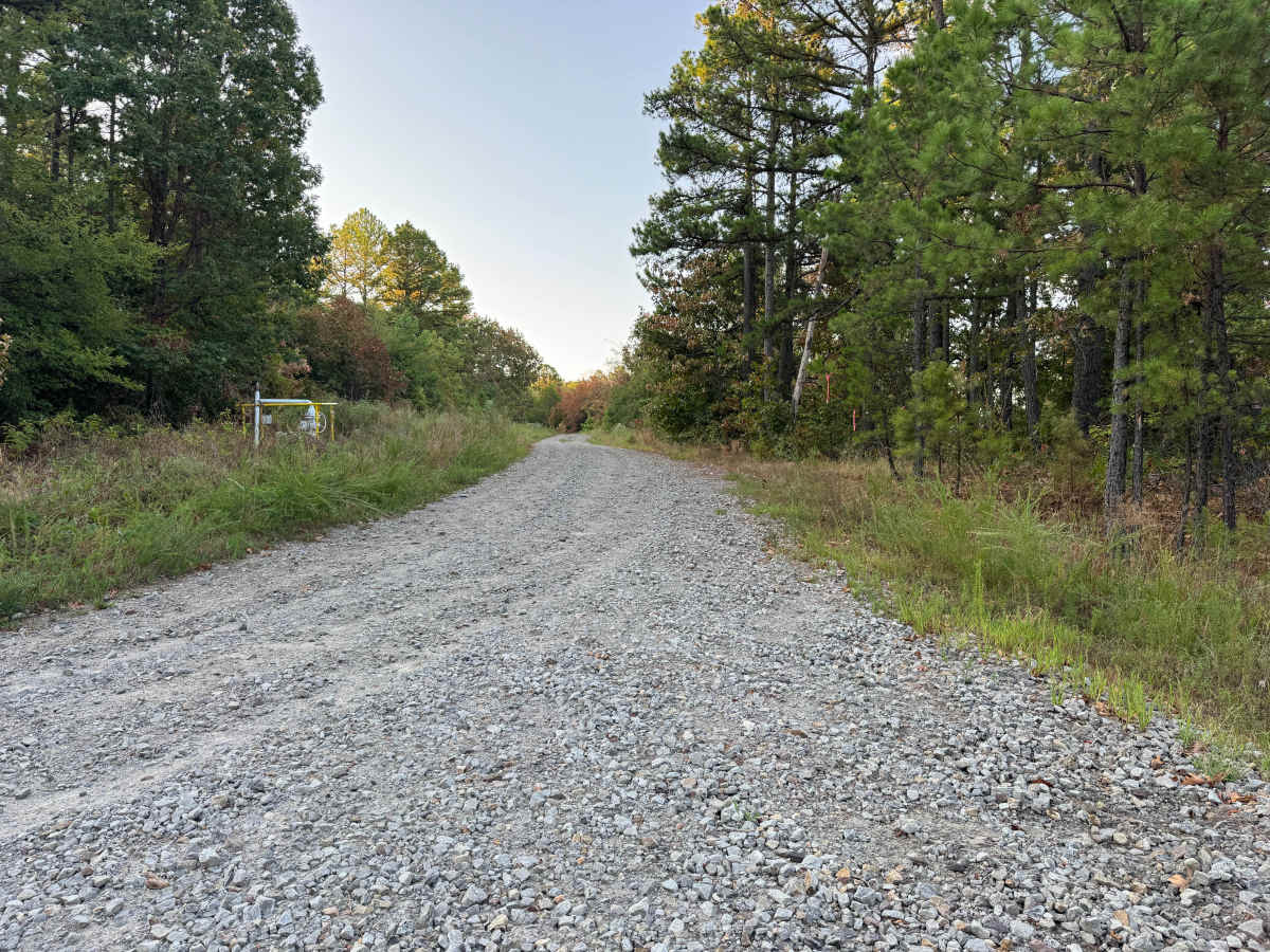 FS 1631C trail photo
