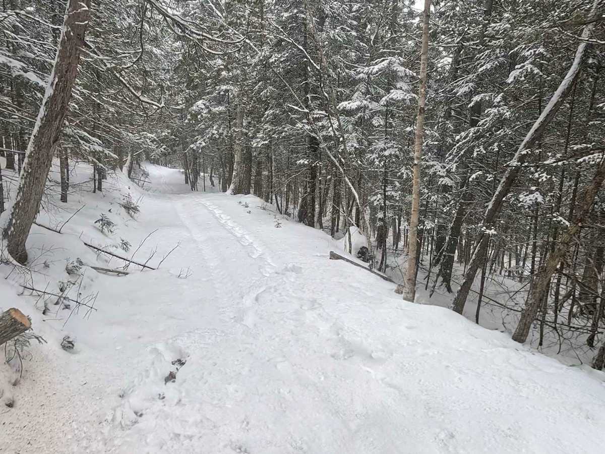 Dead Man's Shelf trail photo