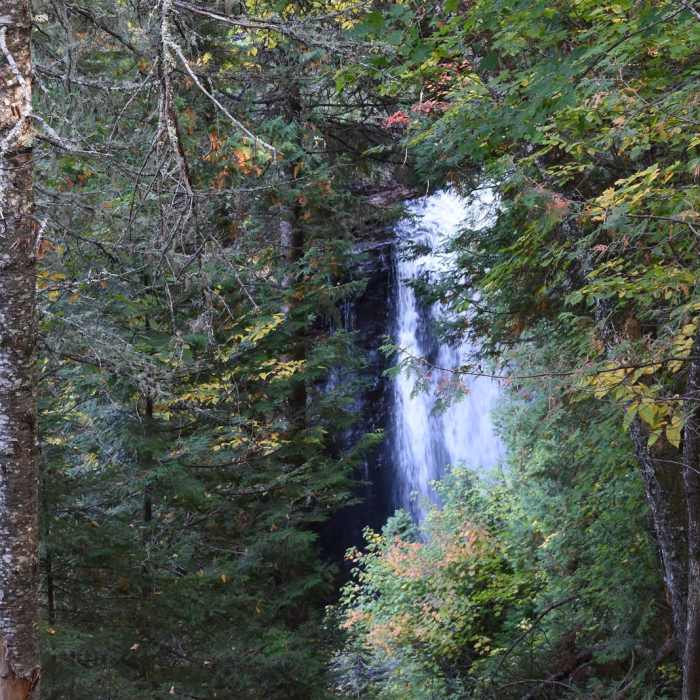Near Miners Falls Trail Near Miners Falls Trail