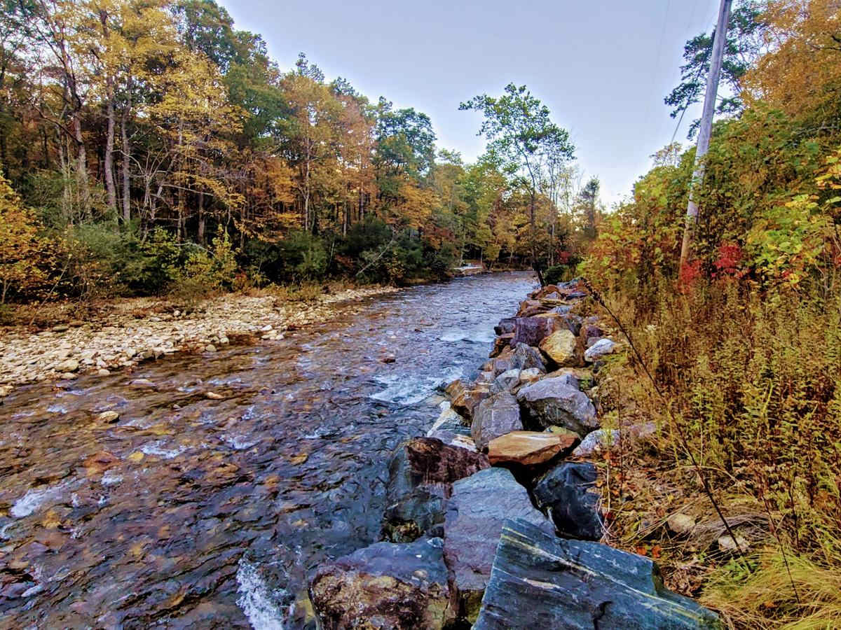 Toe River Trail photo 6
