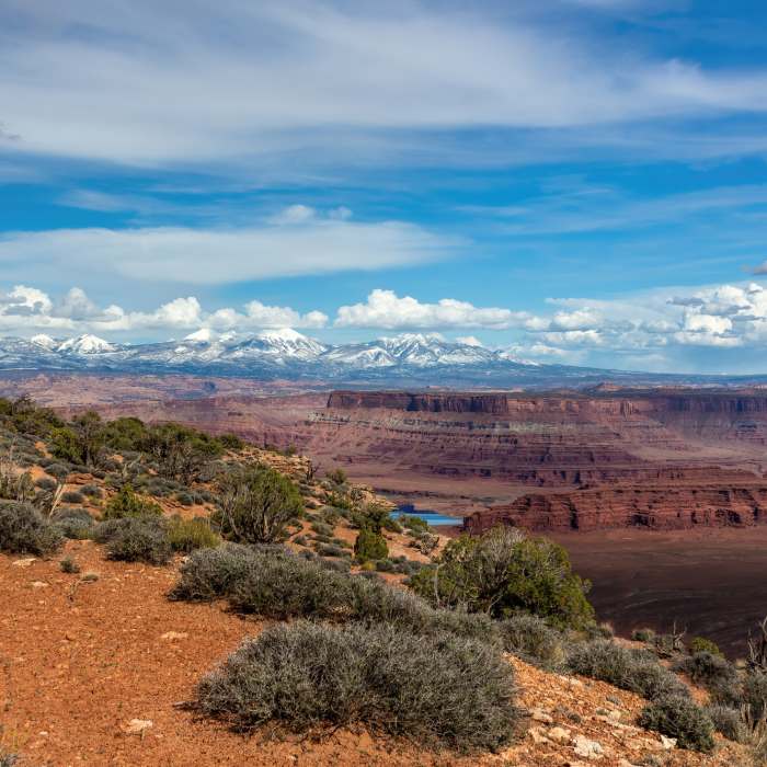 Near Basin Overlook Trail
