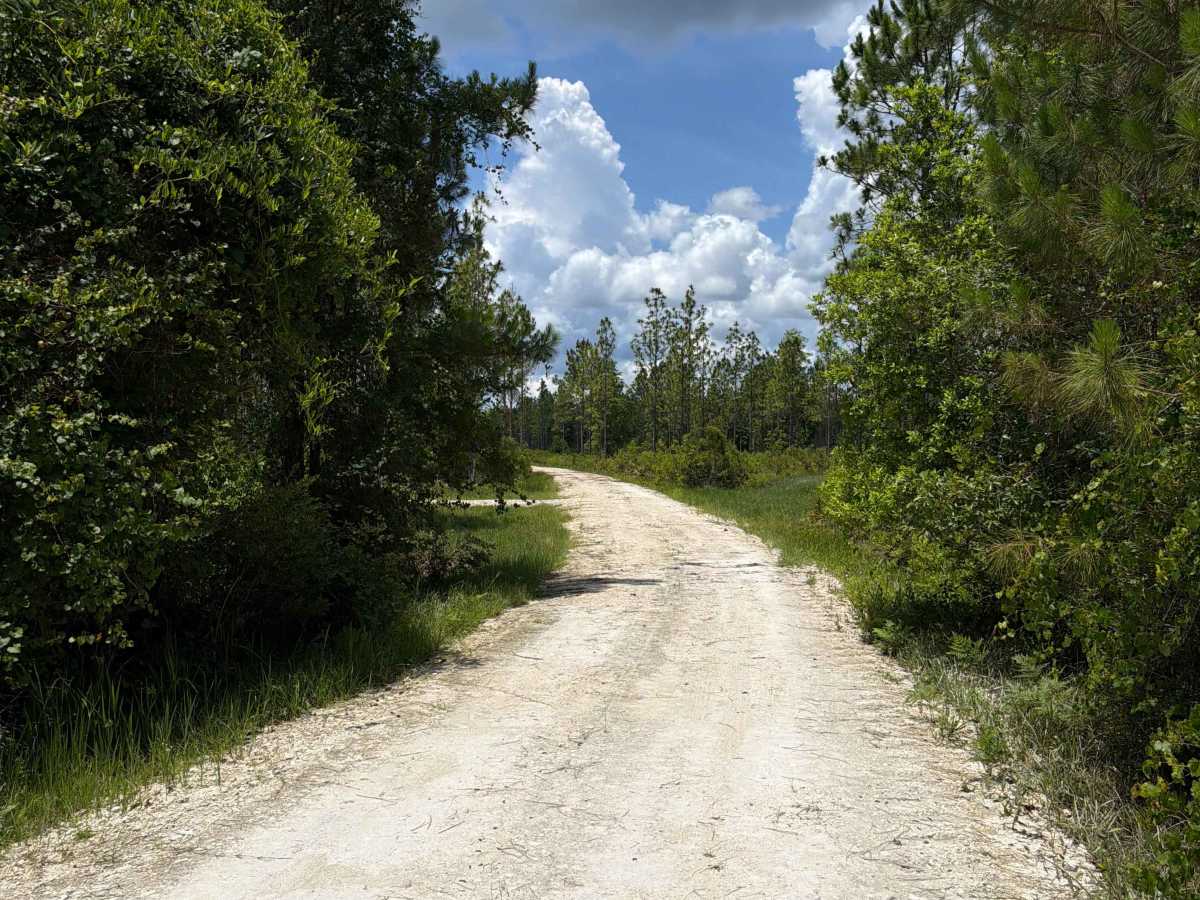 Price Road photo 2