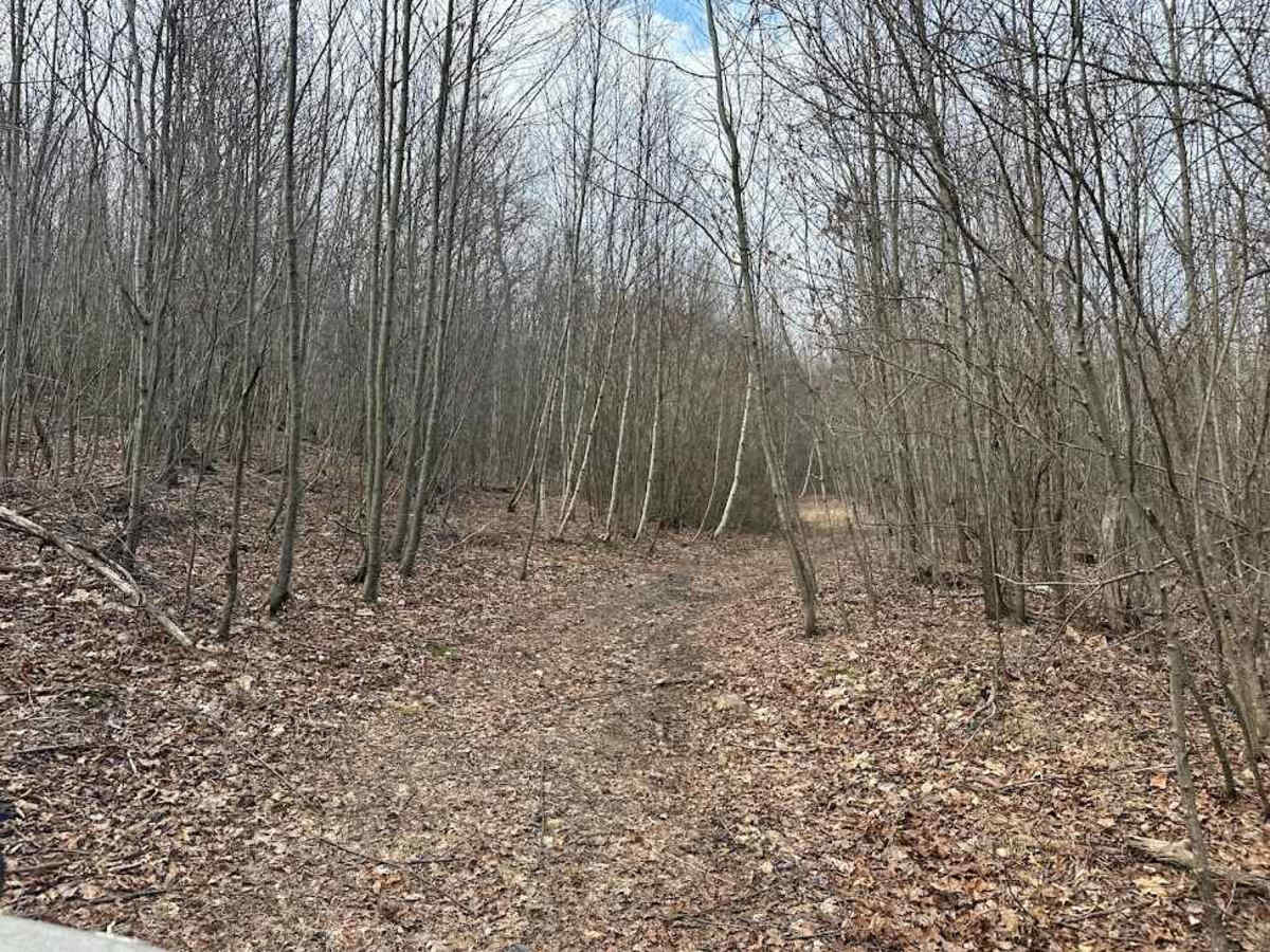 ATV Trail 80 photo 5