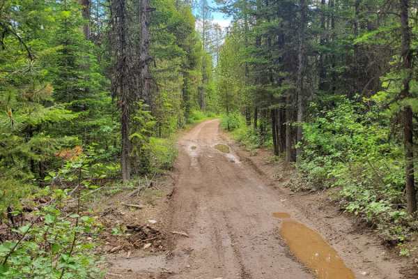 Wild Bill Creek/Firewood Trail to Truman Creek