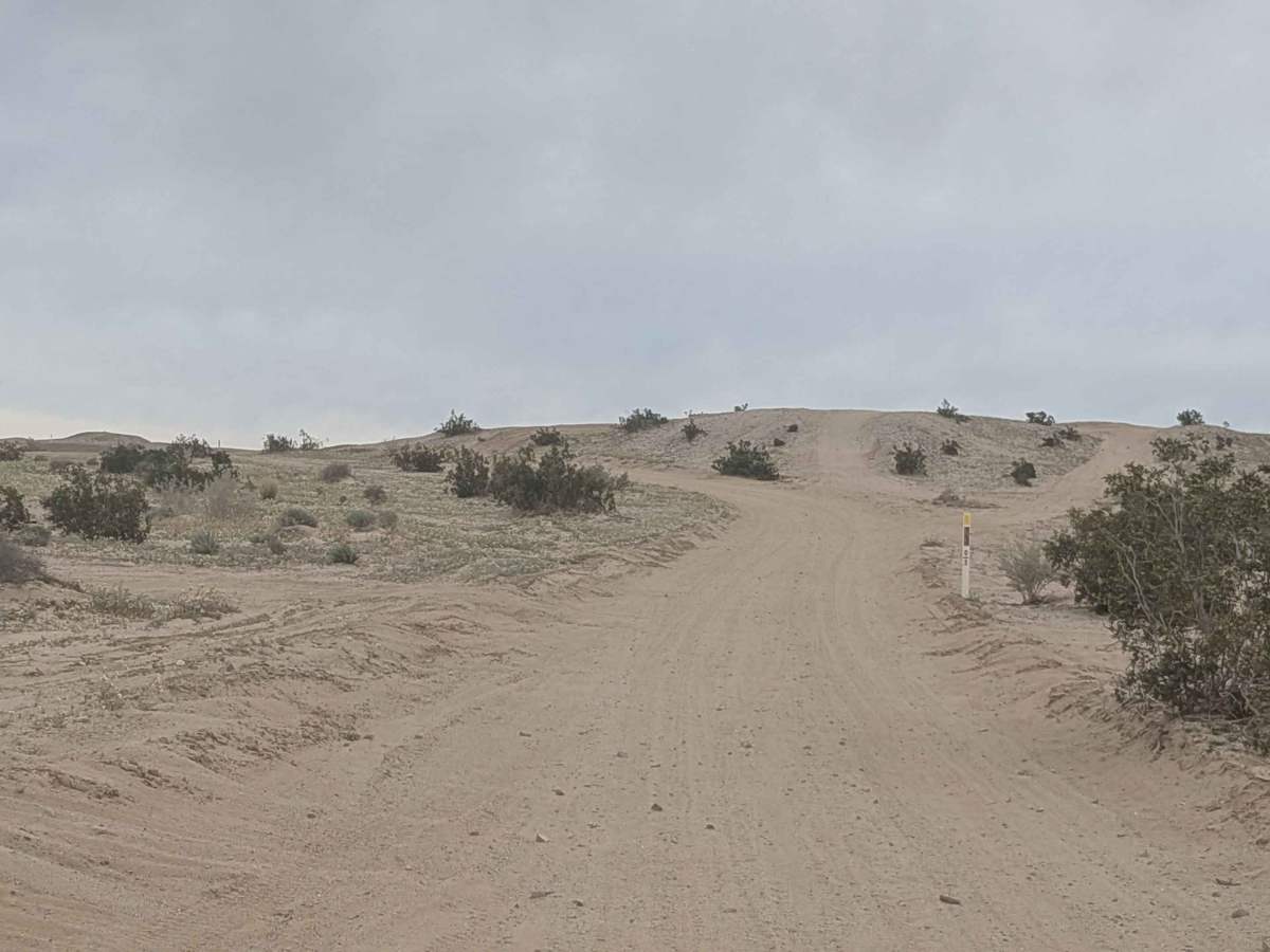 Ocotillo Trail Road photo 5