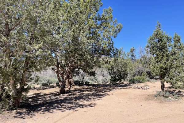 8-Mile Springs