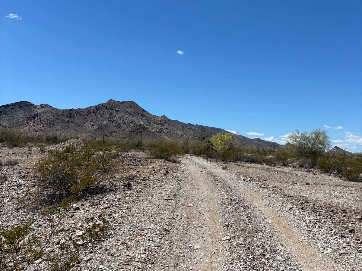 BLM 0133 photo 3