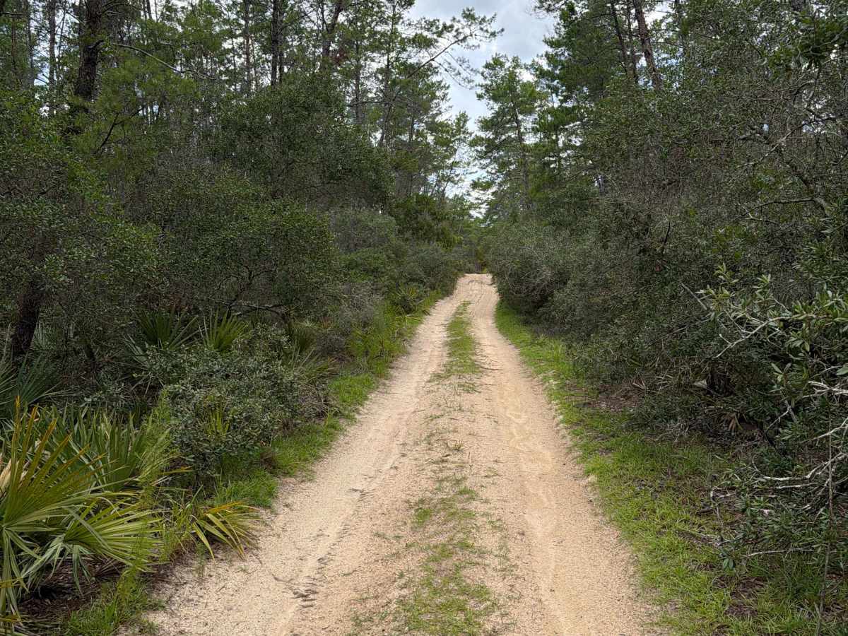 FS 9-11.9 trail photo