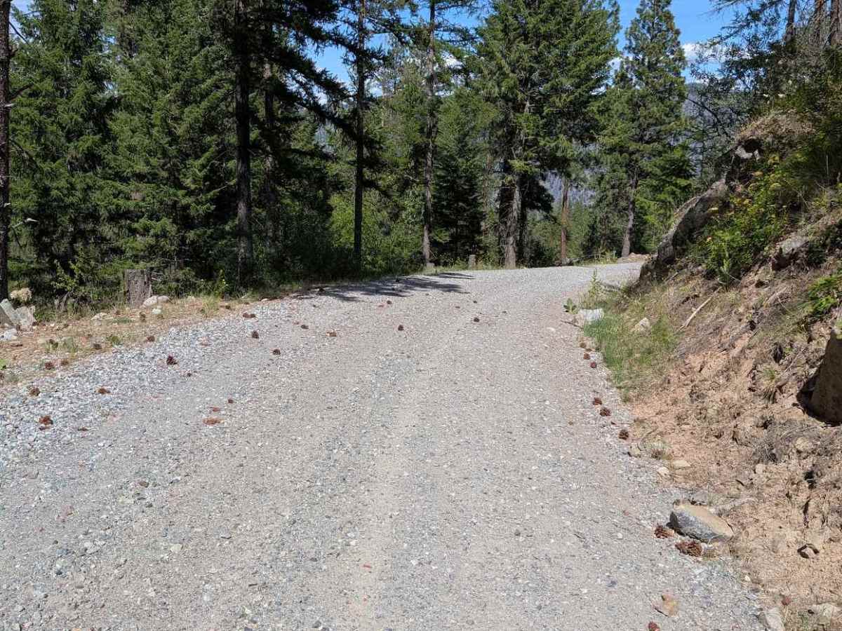 Douglas Mountain Road photo 6
