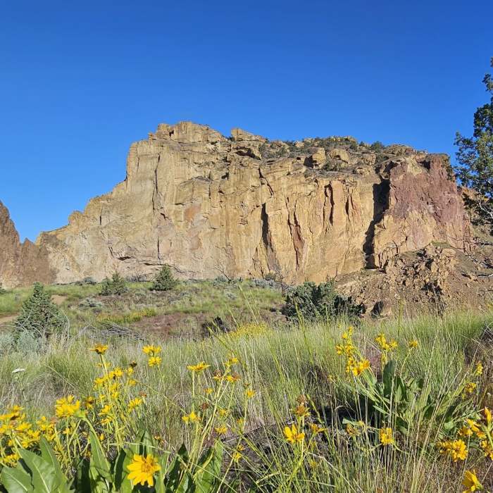 View from the trail area. Near Misery Ridge Loop