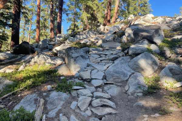 Kingsbury Stinger Trail