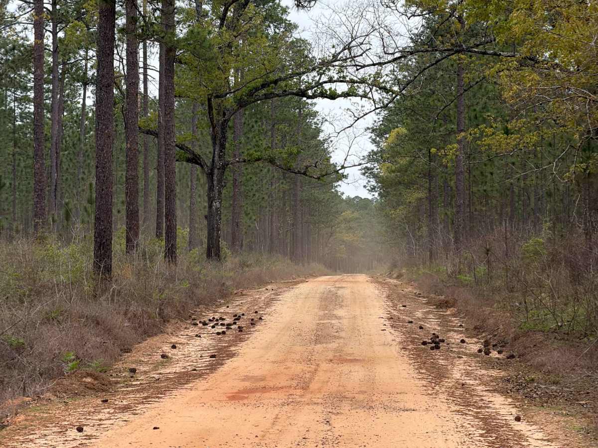Cemetery Road photo 2