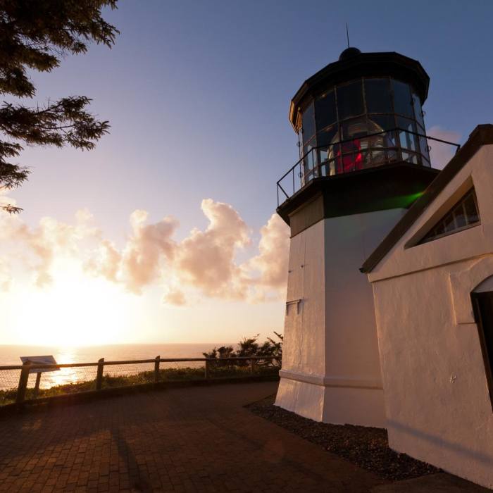 Near Oregon Coast Trail Section 3