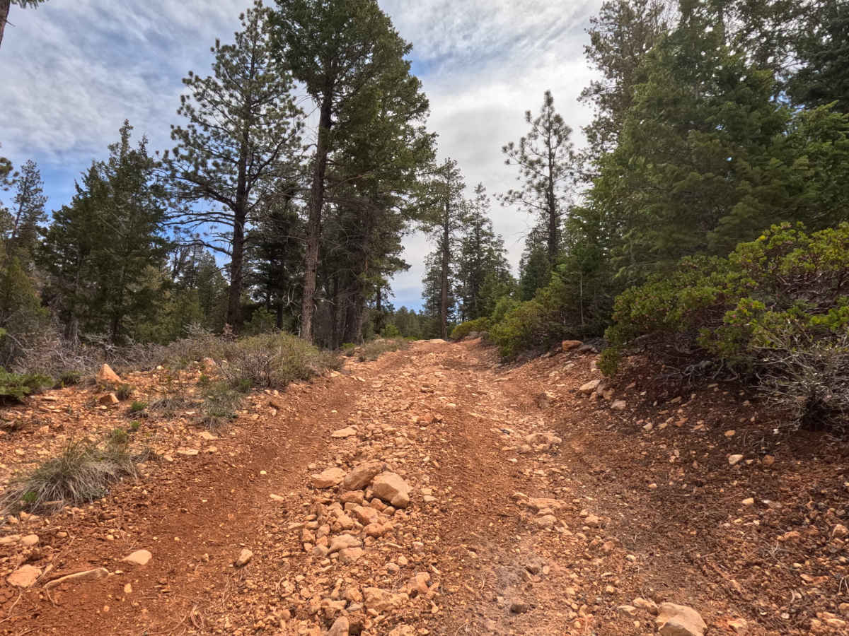 Ingram Hollow - FS 31129 photo 6