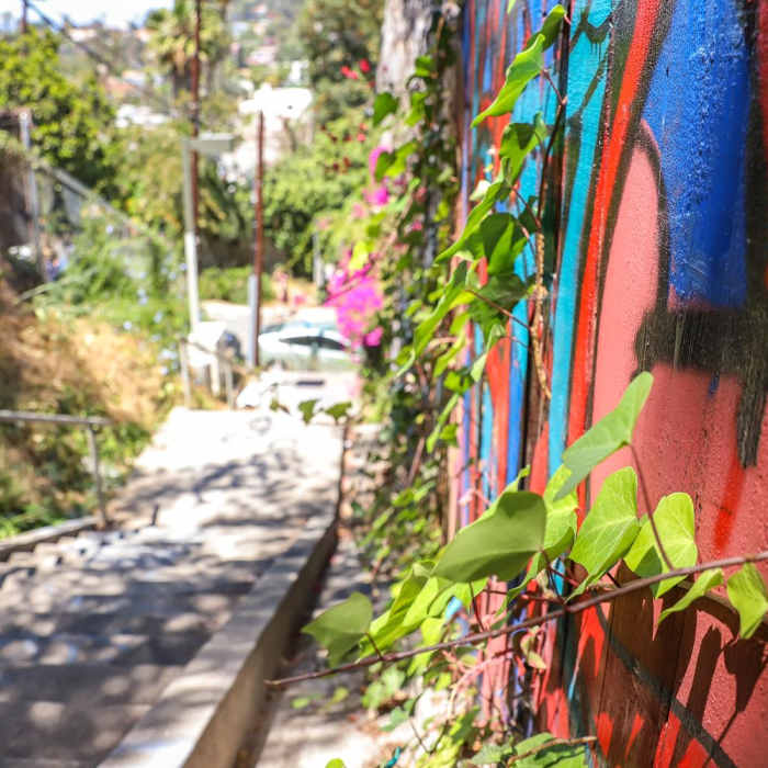 Near Silver Lake Stairway Tour