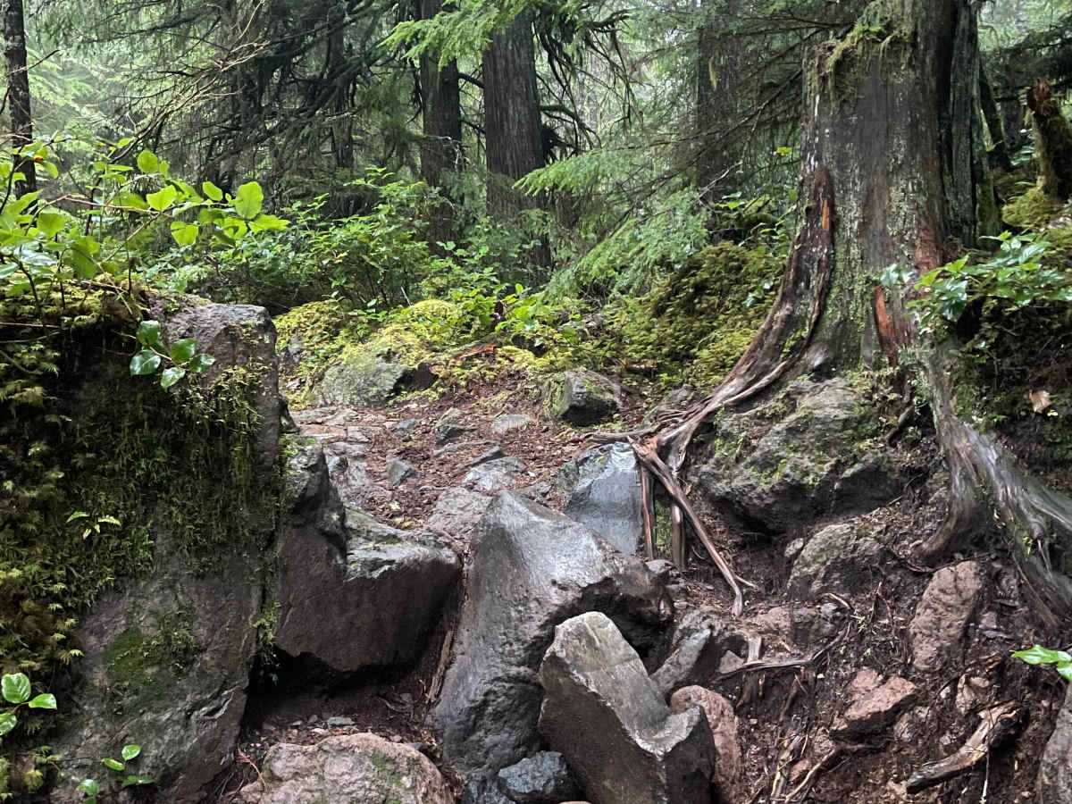 STP Plunge trail photo