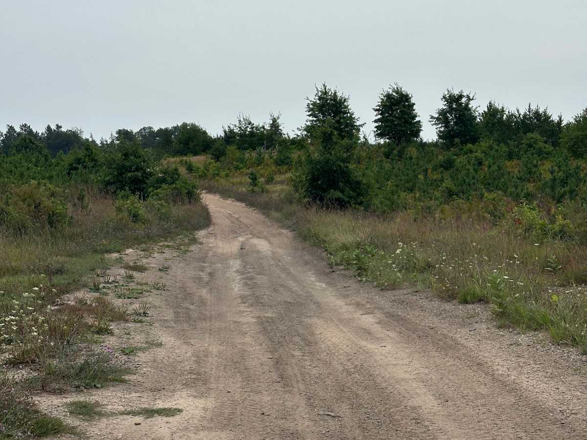 Hill Drive  photo 2