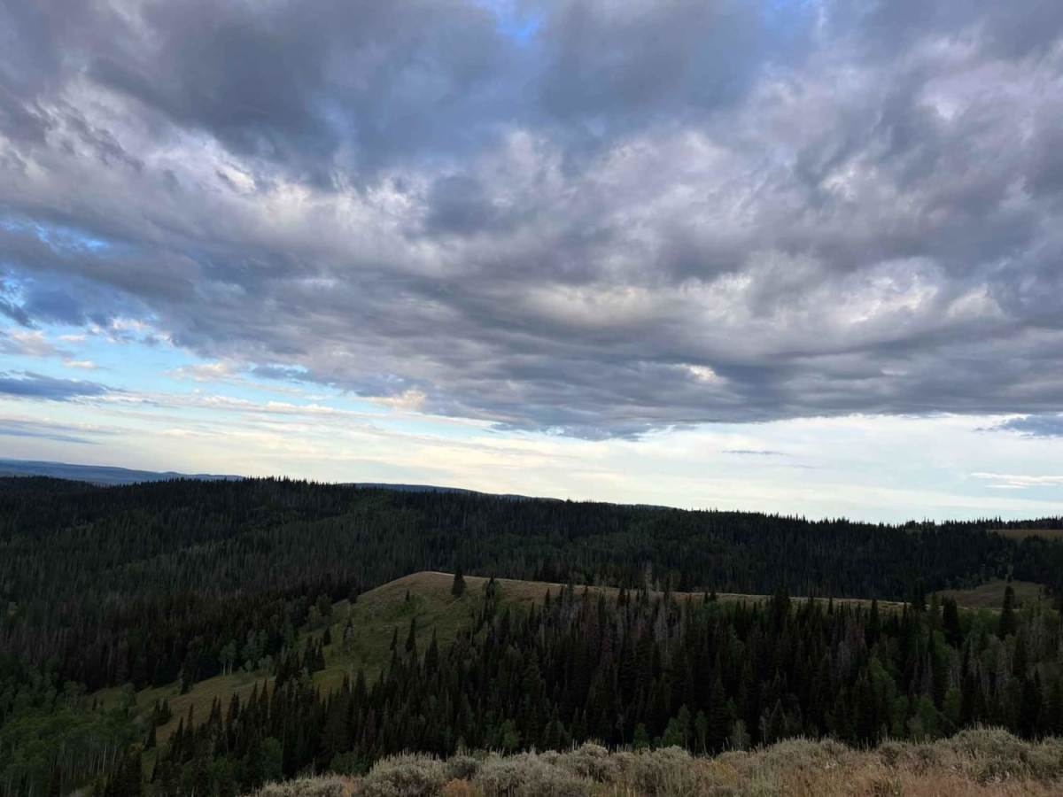 East Fork Ridge photo 4