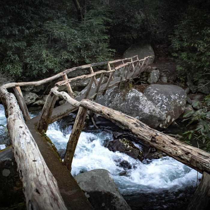 Near Porters Creek Trail to Fern Branch Falls Near Porters Creek Trail to Fern Branch Falls