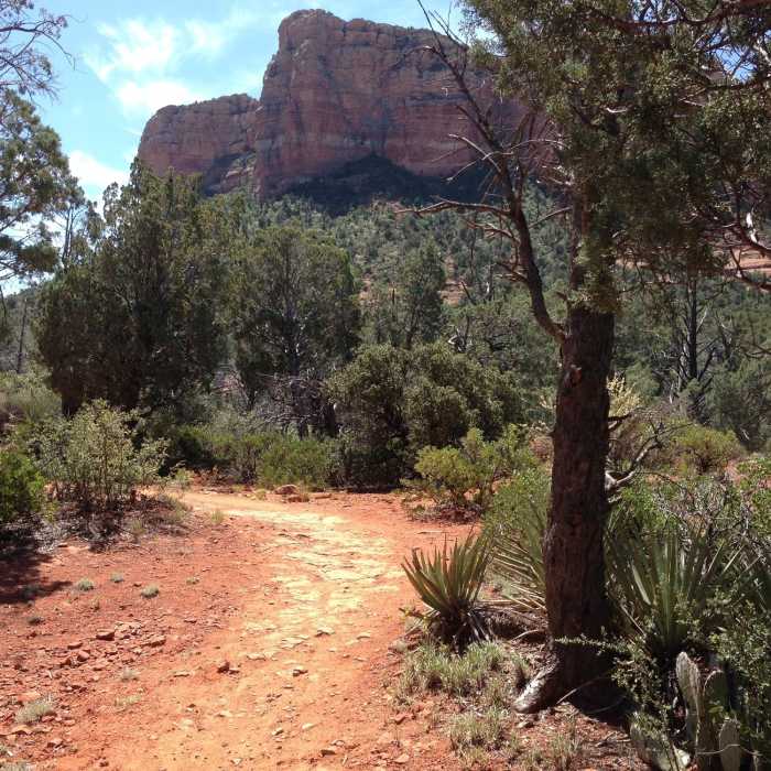 Near Llama Trail