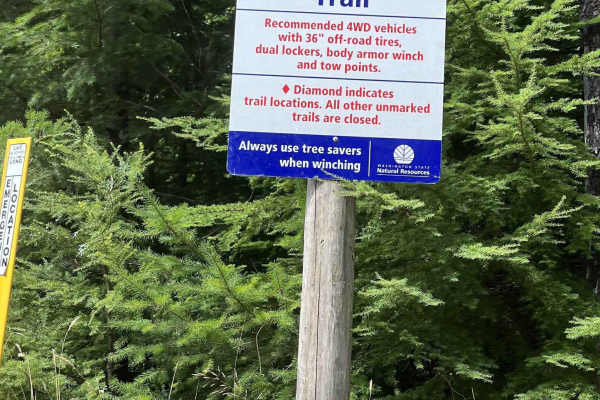 Busywild Trail