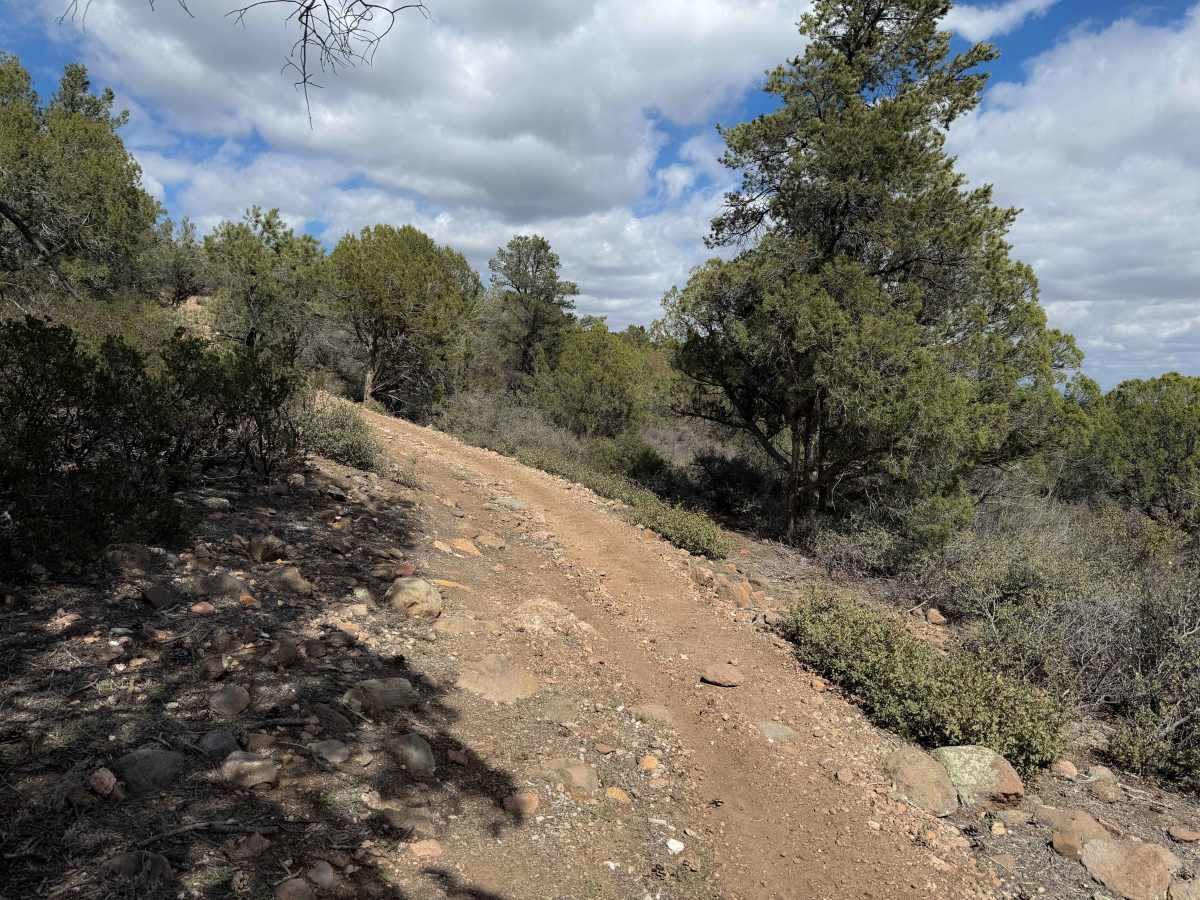 Coldwater Trail #21 (ATV) photo 6