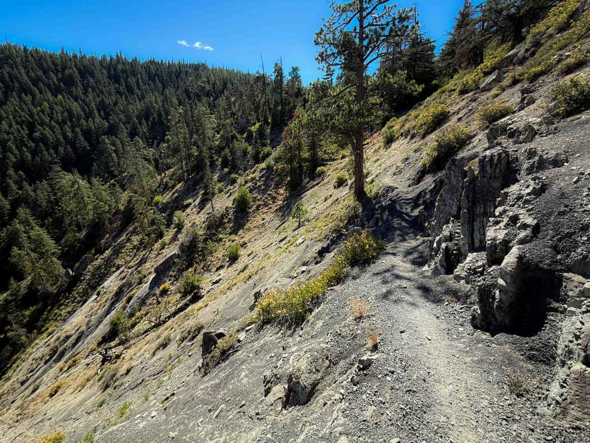 Devil’s Spur 1203  photo 3