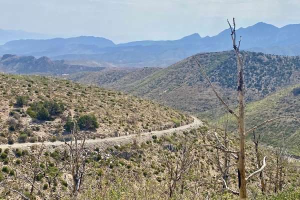 Harris Spring Road