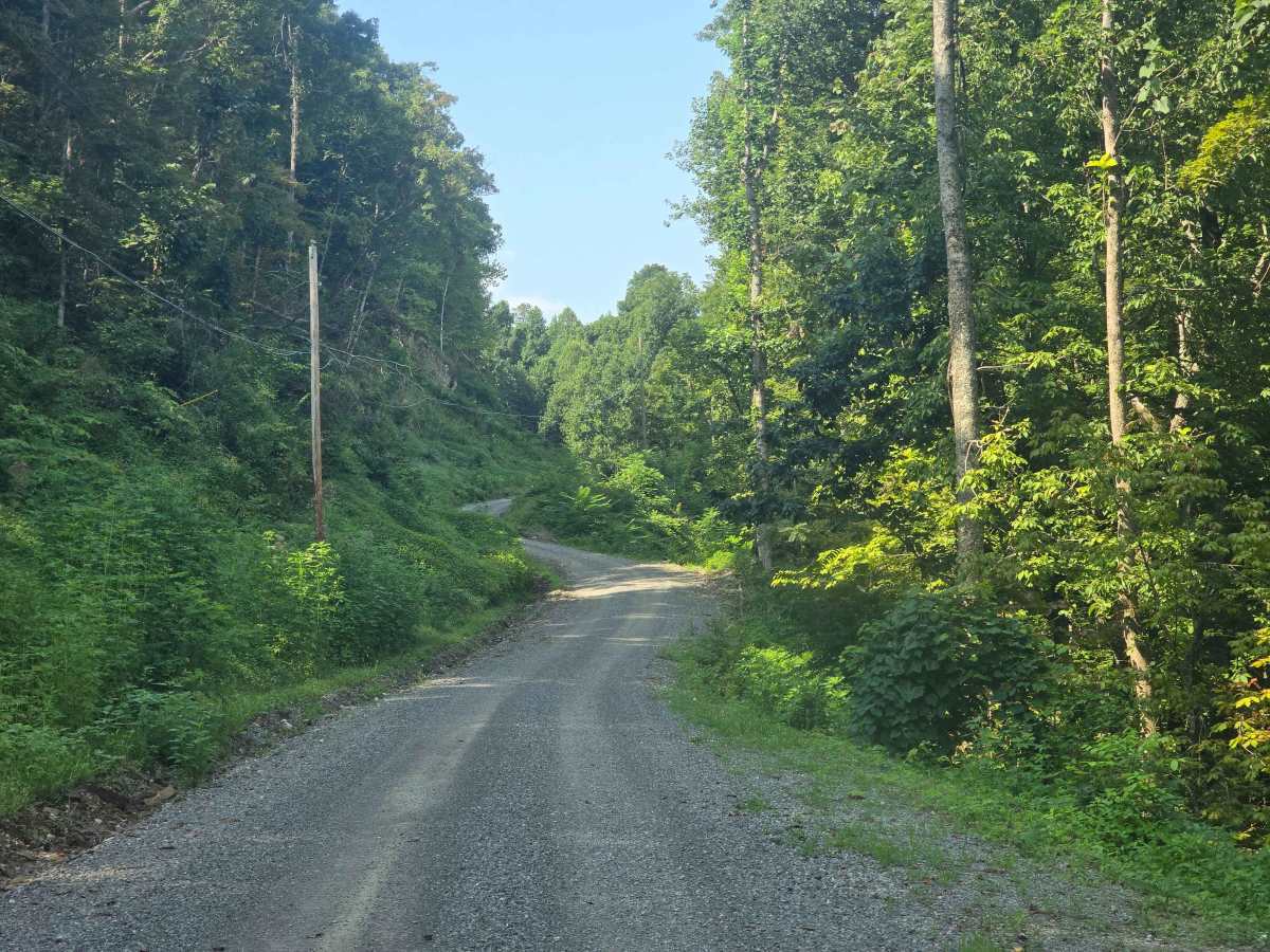 Pine Mountain Road photo 3