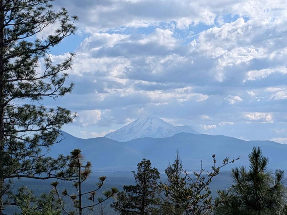 C33 Wild Horse Mountain - FS 44N11 photo 4