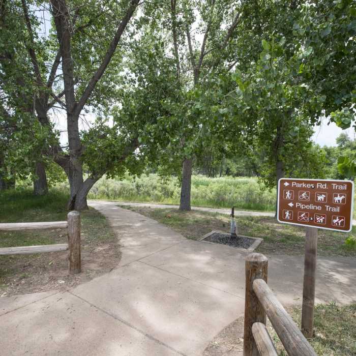Near Wetland Loop Trail Hike