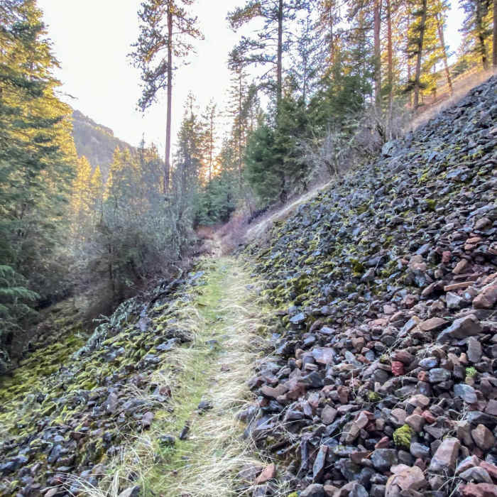 Near Asotin Cr., S. Pinkham, N. Pinkham Loop