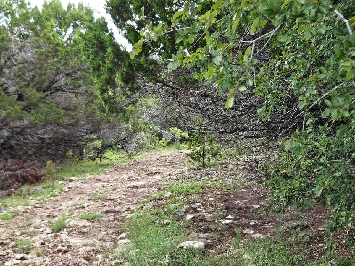 1840 Spur photo 4