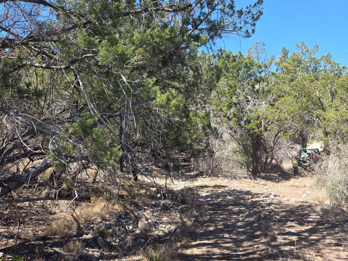 V-33 Wright's Way photo 2