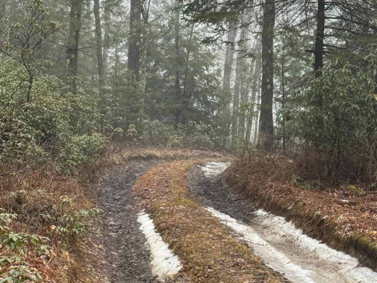 Smoke House Trail photo 3