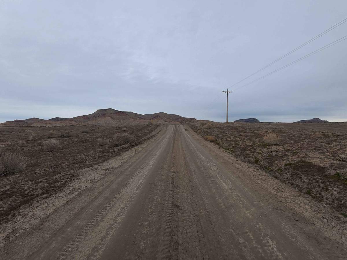 X Road photo 6