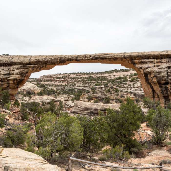 Near Owachomo Bridge Overlook