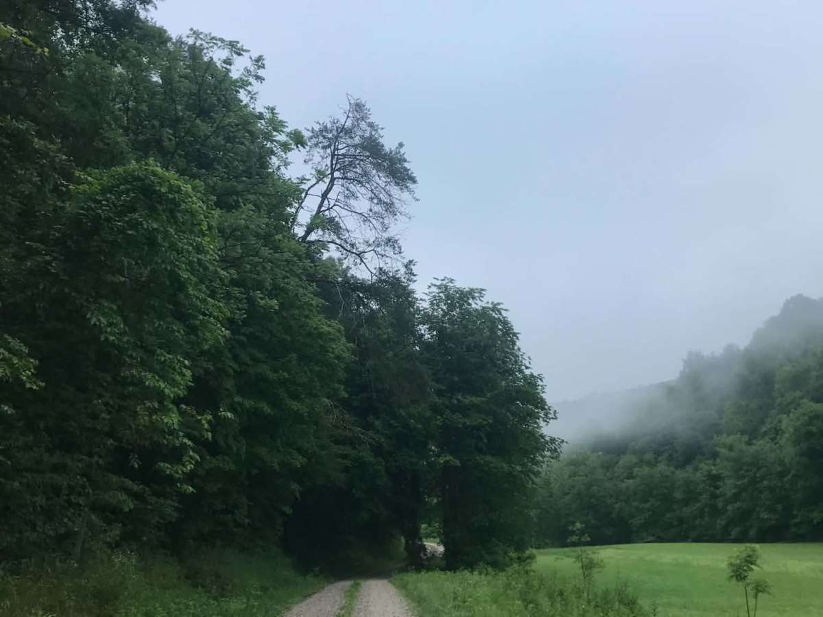 Wolf Road photo 2