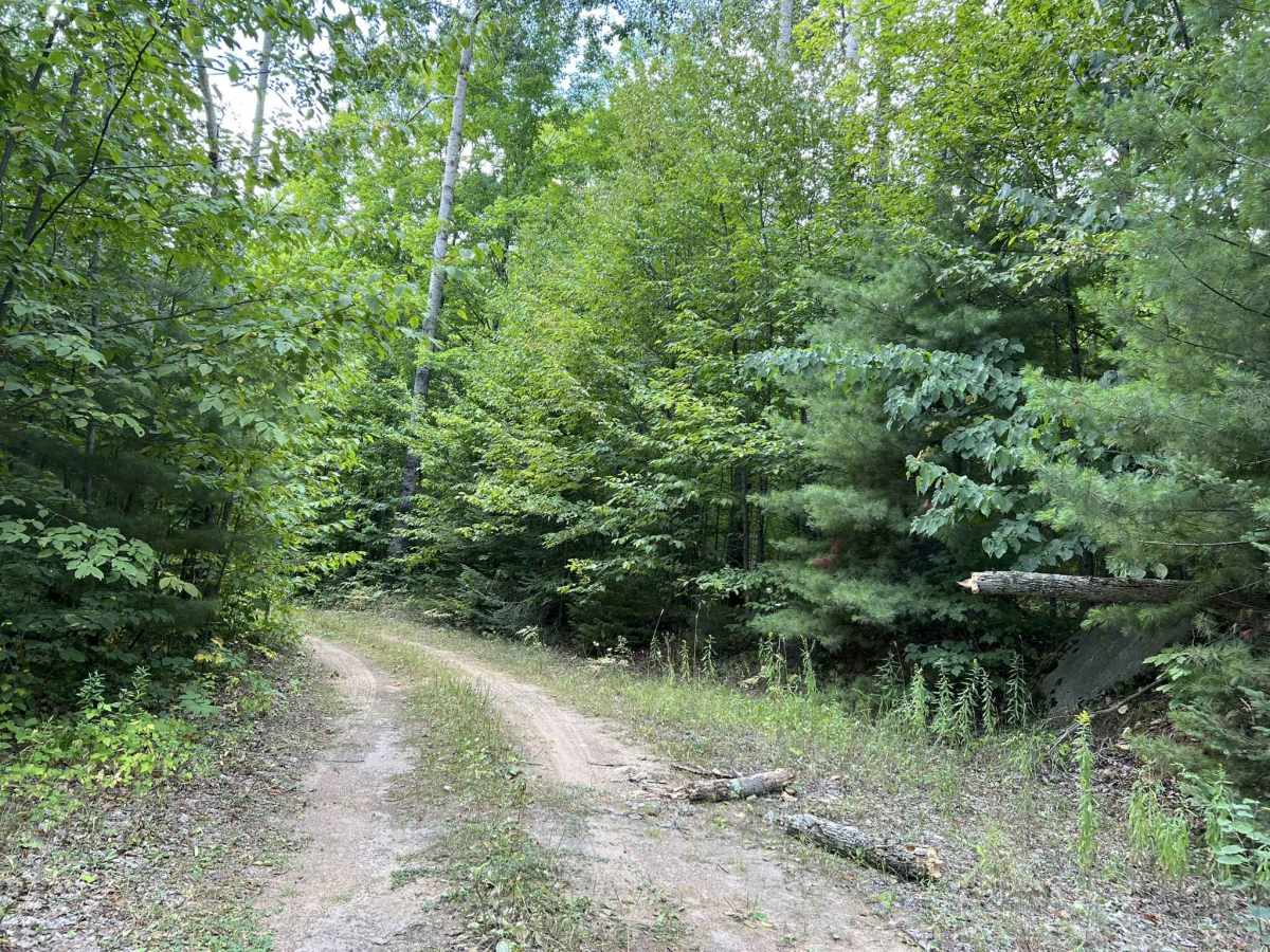 Devils CR Spur trail photo