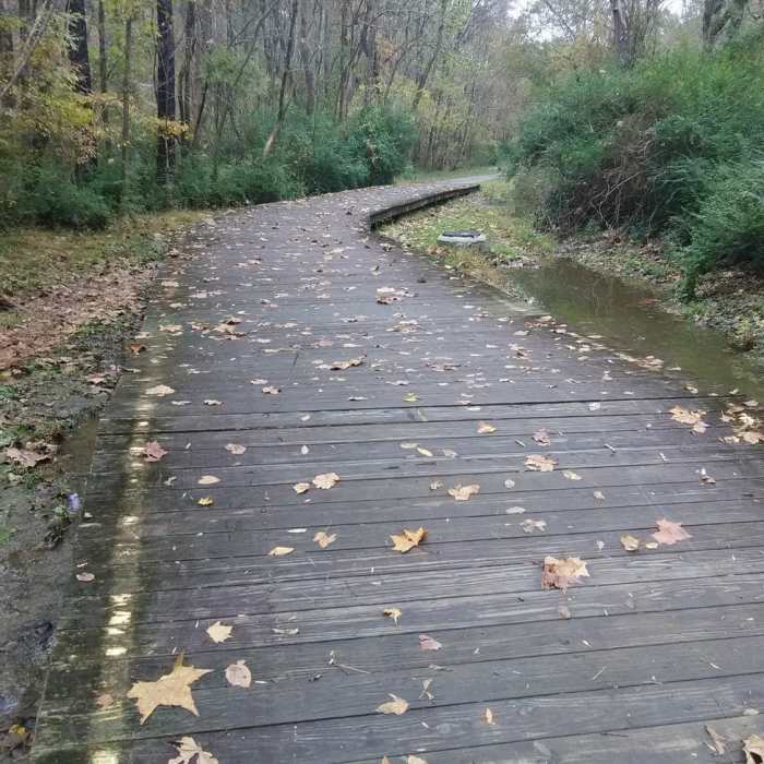 Near Warren Creek Trail