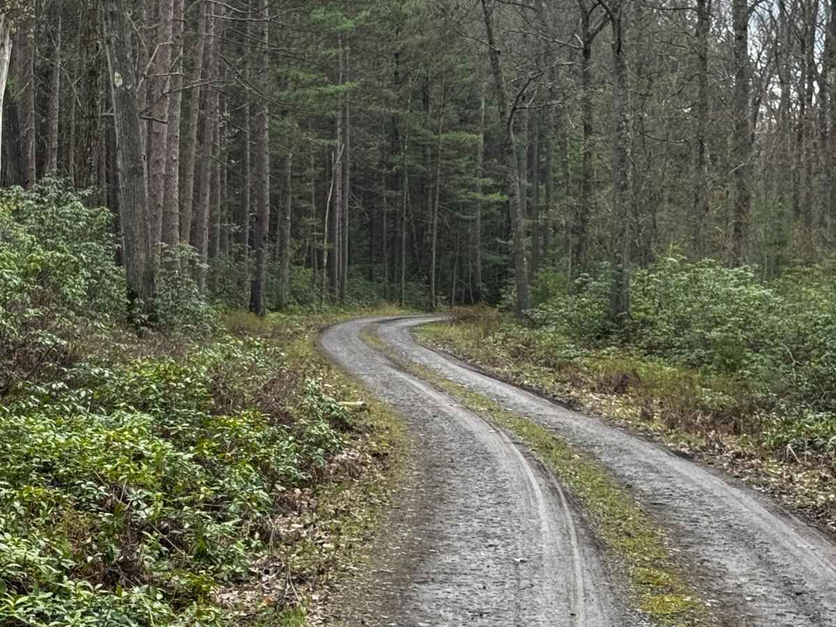 Old Mountain Road photo 5